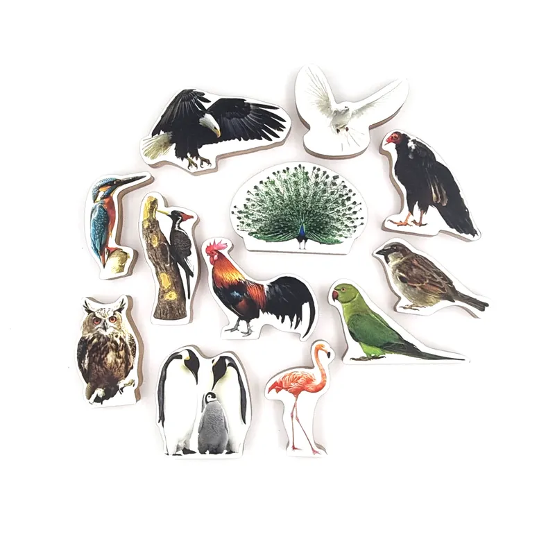 Birds Wooden Toys for Kids- 12 Pieces