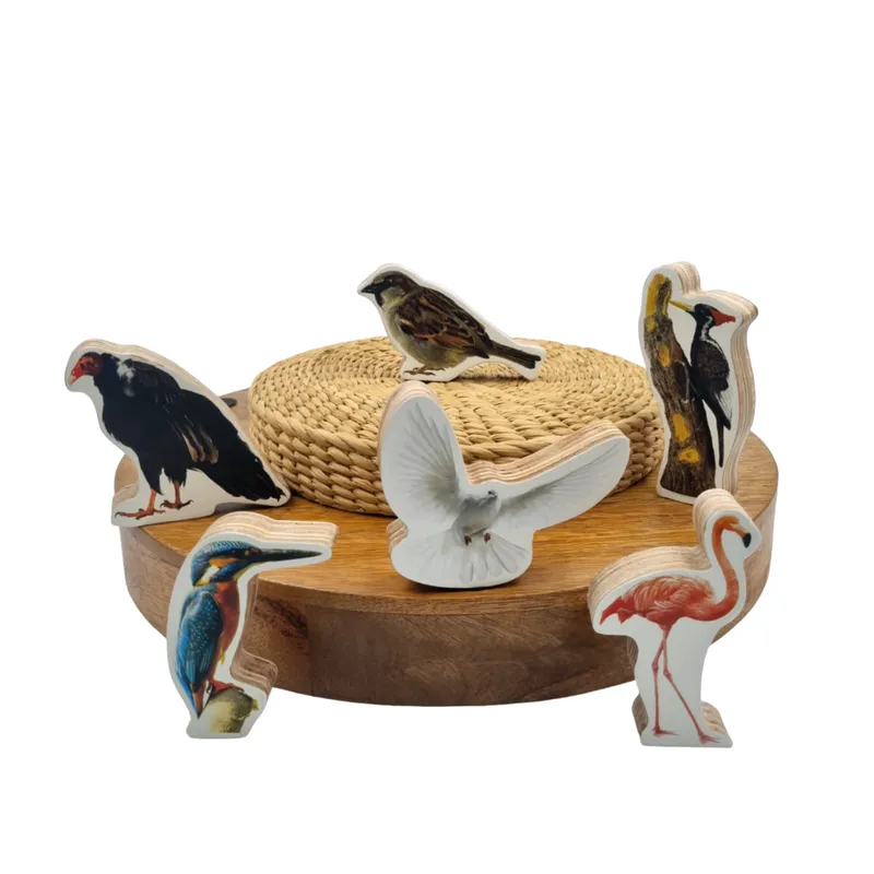 Birds Wooden Toys for Kids- 12 Pieces