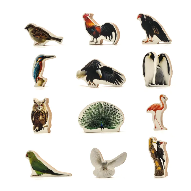 Birds Wooden Toys for Kids- 12 Pieces