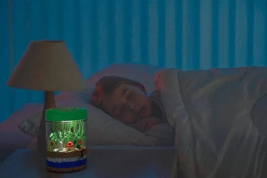 Dan&Darci Light-up Terrarium Kit for Kids with LED Light on Lid