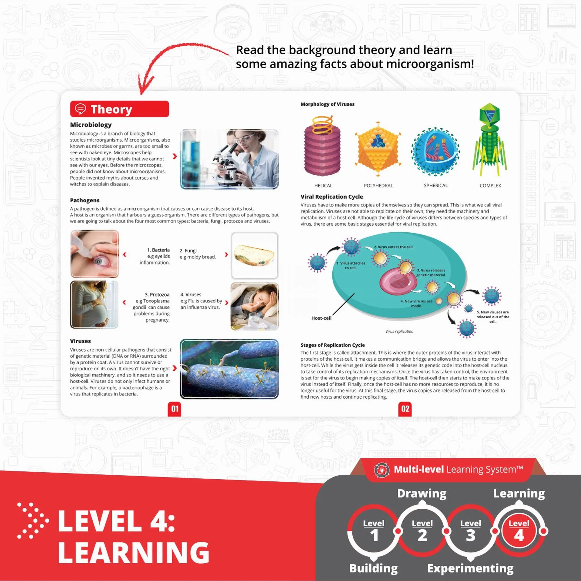 Engino How Viruses Work? (EN)