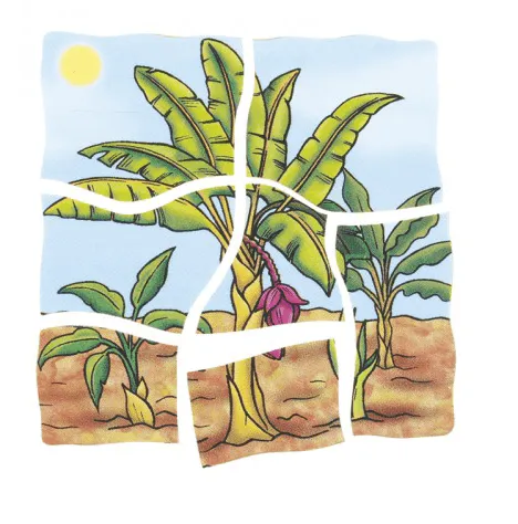 Five Layer Banana Puzzle - FINAL CLEARANCE