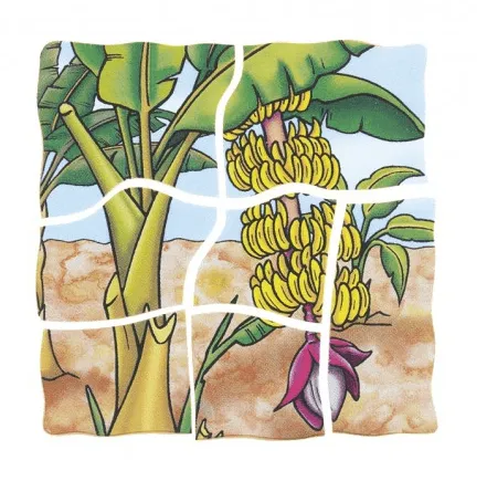 Five Layer Banana Puzzle - FINAL CLEARANCE