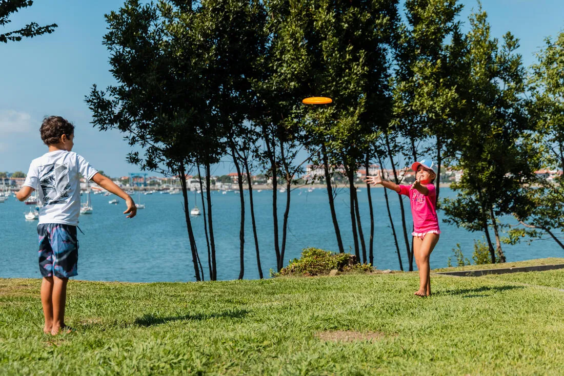 Frisbee - DSoft