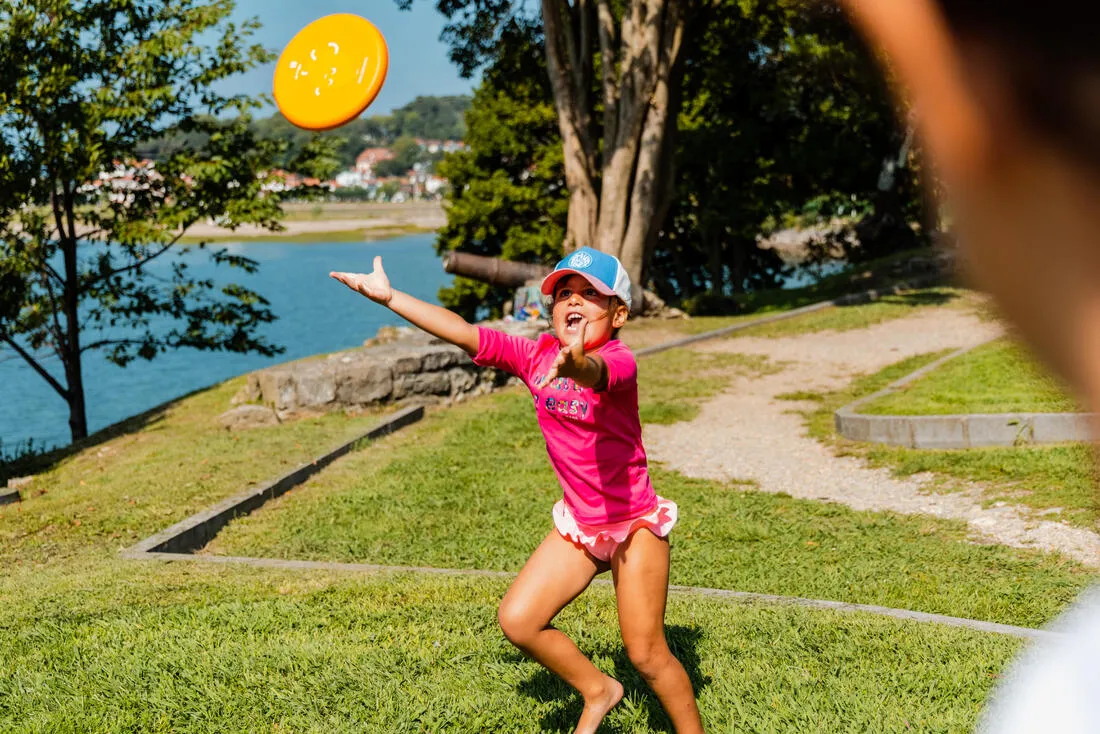 Frisbee - DSoft