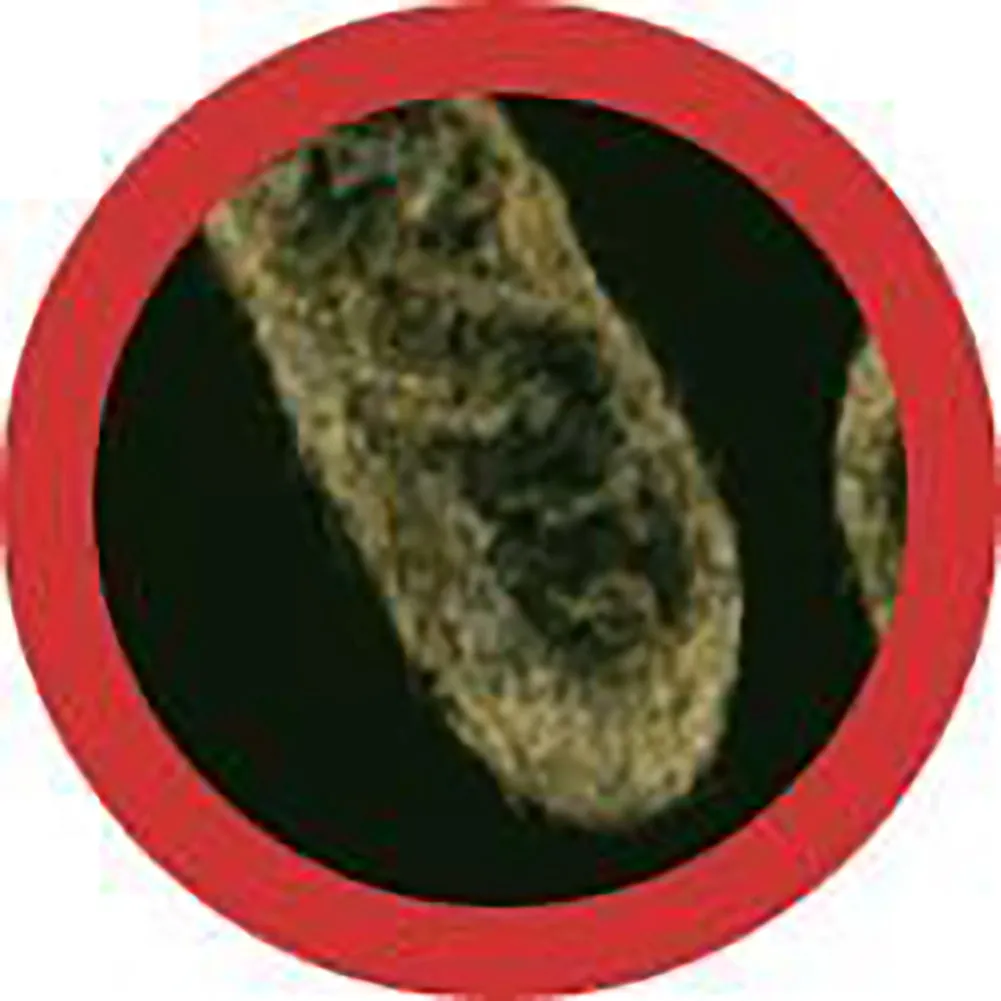 Giant Microbes Plush - Stomach Ache (Shigella)