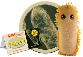 Giant Microbes Plush - Stomach Ache (Shigella)