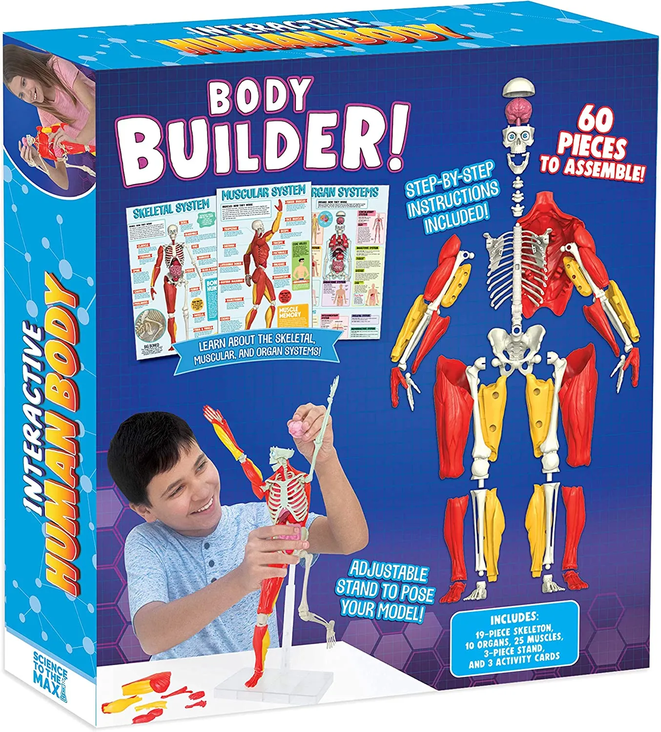 Interactive Human Body Toy