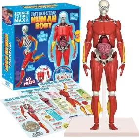 Interactive Human Body Toy