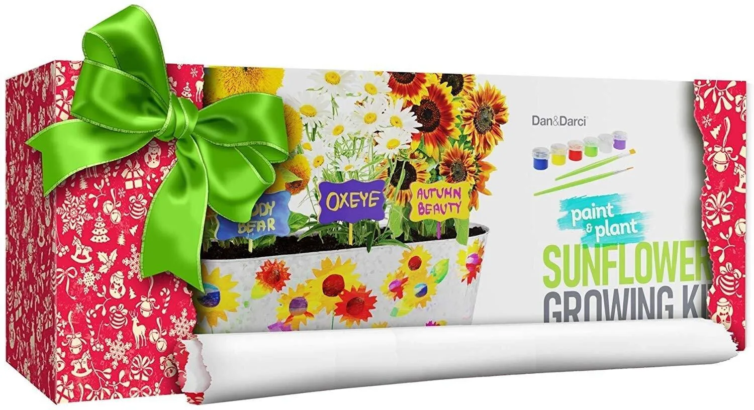Paint & Plant Sunflower Growing Kit