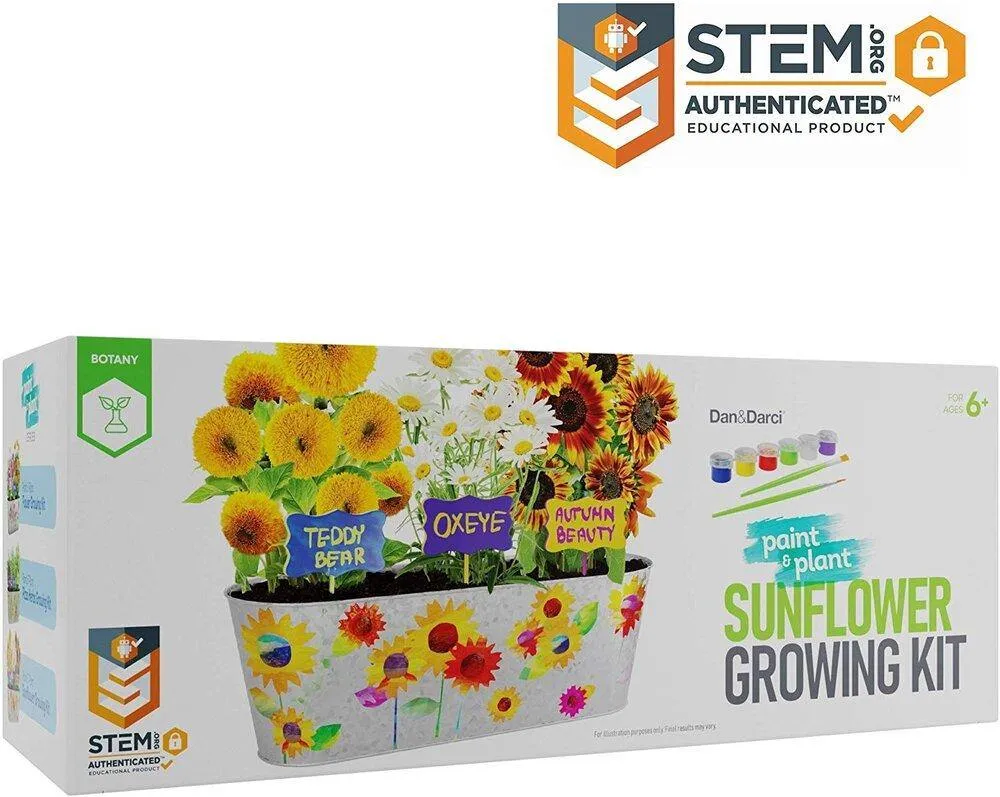 Paint & Plant Sunflower Growing Kit