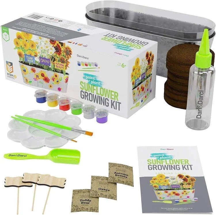 Paint & Plant Sunflower Growing Kit