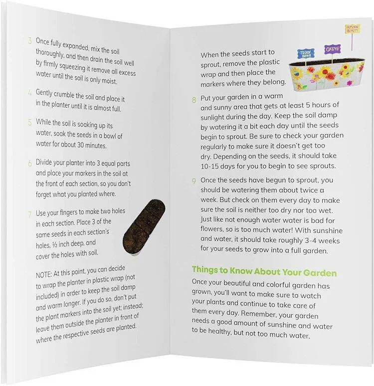 Paint & Plant Sunflower Growing Kit