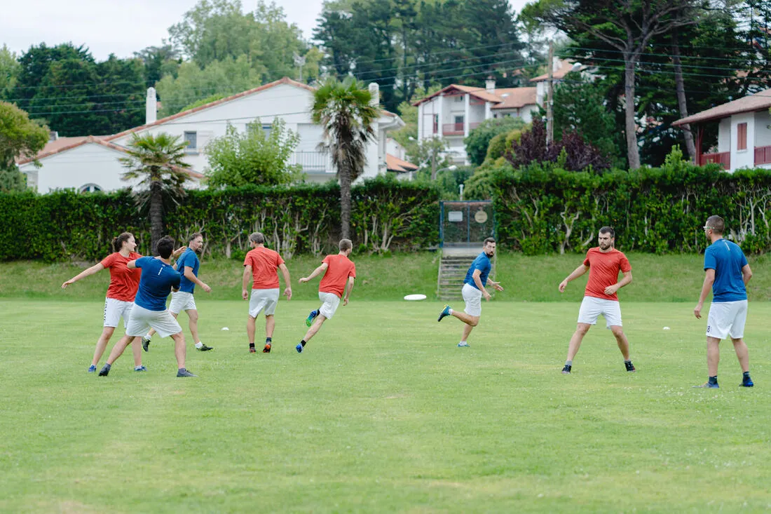 Ultimate Disc 175g - 500