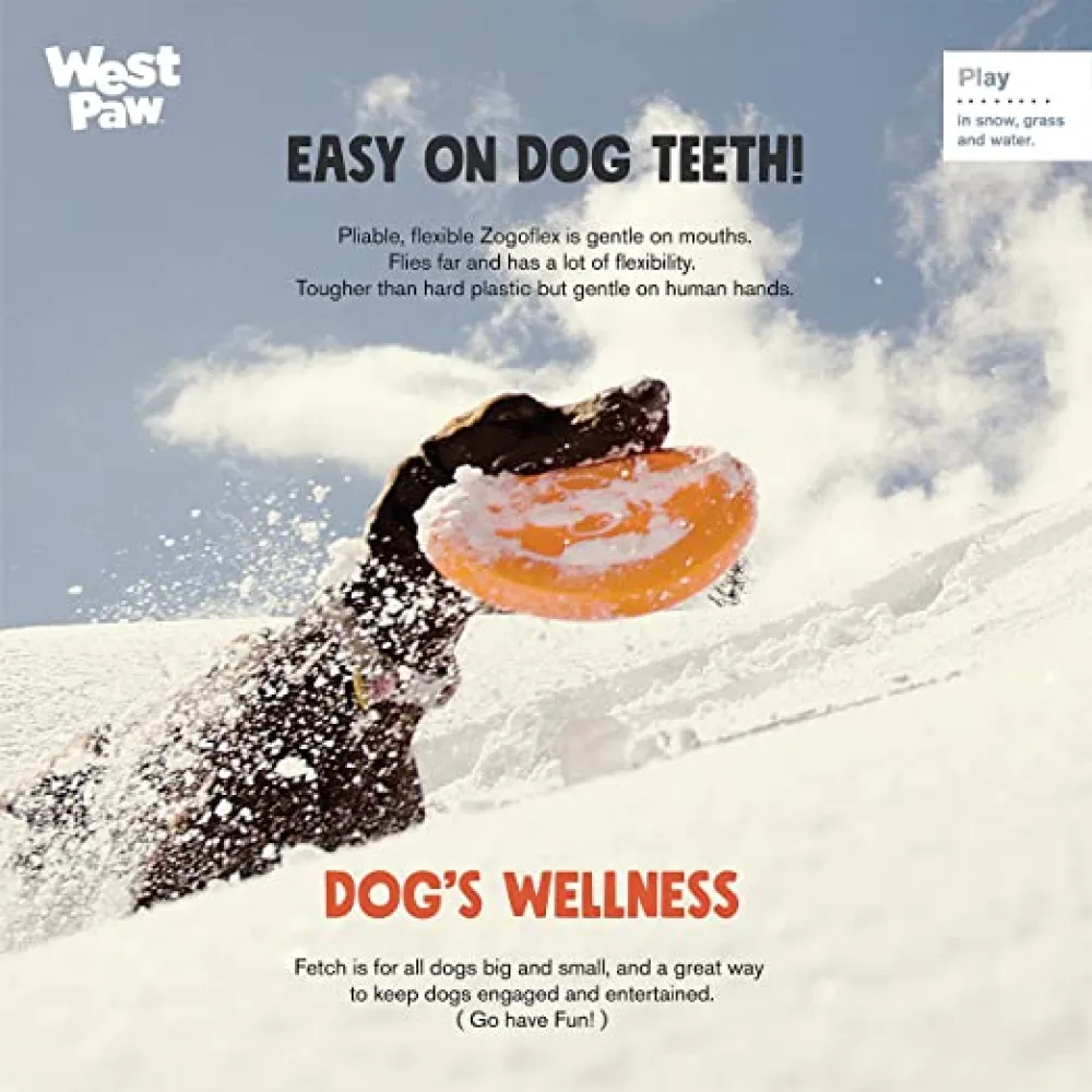 West Paw Design Glow in the Dark Zisc for Dogs (Assorted)
